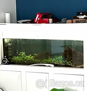 Akvárium 410 litrů, stojan, filtry, skříňka