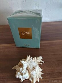 ICÔNE intuicion