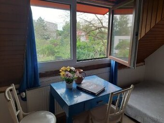 Bydlení v Hradci Králové v domě se zahradou za 6000 kč - 1
