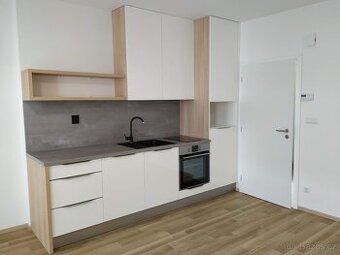 Pronájem bytu 1+kk se zahradou - 1