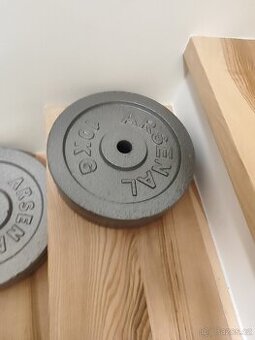 Litinové kotouče / závaží 2x10kg