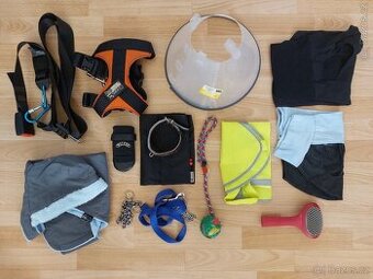 Výbava pro menšího psa za jednu cenu