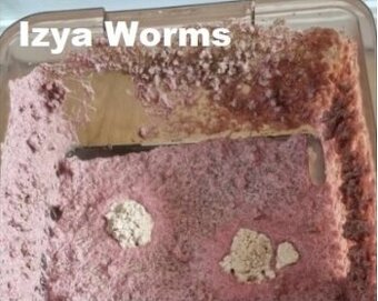 Živé krmiv, násady - Auloforus, Grindal, Mikry, Moina...