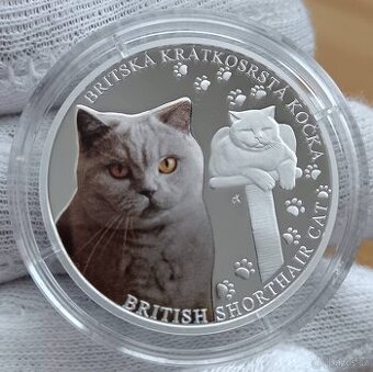 Stříbrná mince 1oz Britská Kočka 2024