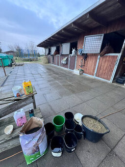 Ustájení Dolní Krupá u Mnichova Hradiště.