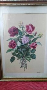 Obraz kytice růží