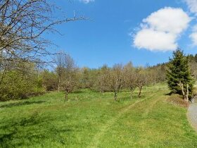 Pozemek k výstavbě 5 RD, Dolní Poustevna,5069 m2