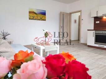 (N352) Pronájem rekonstruovaného bytu 1+kk na Místecké ulici