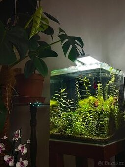 Akvárium 30L + stojan