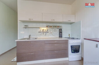 Prodej bytu 1+1, 39 m², Plzeň, ul. Manětínská
