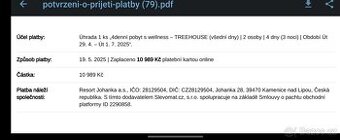 Pobyt s wellness v domě v korunách stromů za poloviční cenu - 1