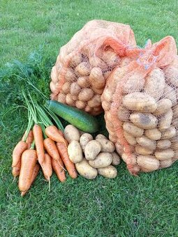Brambory MARABEL, cibule, mrkev, červená řepa , česnek