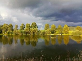 Živé ryby – tržní i okrasné | Volary (okr. Prachatice)