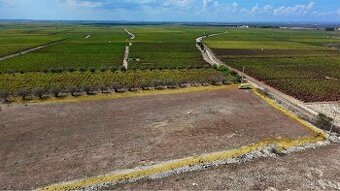 Prodej stavebního pozemku u moře🇮🇹