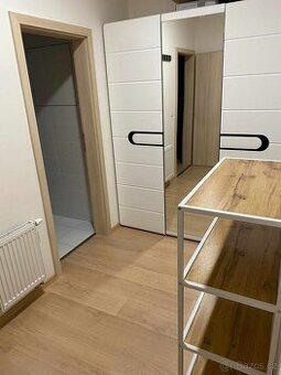 Olomouc POvel - pronájem 1+kk s terasou