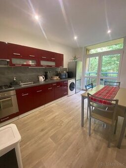 Pronajmu byt 2+1 64m2 + lodžie