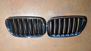 Ledvinky Bmw