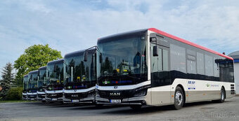 Přijmeme řidiče/řidičky autobusu – Znojemsko