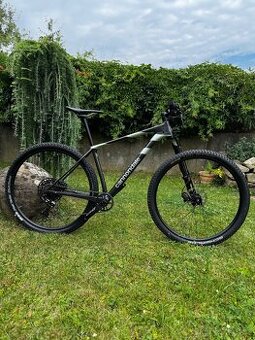 Cannondale carbon