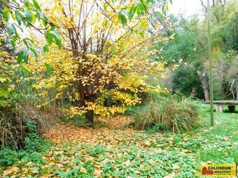 Dyje, zahrada, jezírko, 387 m² – pozemek, ev.č. V3288Z037