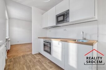 Podnájem slunného bytu 2+1 s balkonem, 52,5 m2 Šunychelská B