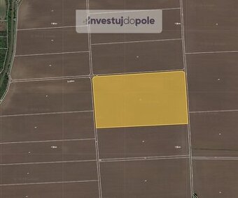 Prodej pole v k.ú. Břežany u Znojma - 1