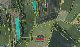 Lesní pozemky v lokalitě Tisek, okre Benešov, ev.č. VŠ-7742 - 1