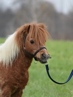 Mini Shetland