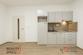 Pronájem, byty/1+kk, 30 m2, Puškinova 2141/14, Jižní Předměs