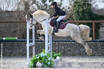 Pony valach kat. A - 1