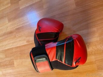 Boxovací pytel a rukavice Hayabusa S4