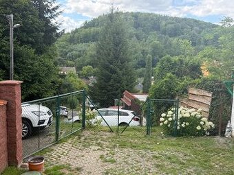 plot ( brana a branka)