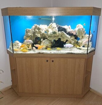 Akvárium rohové 350L