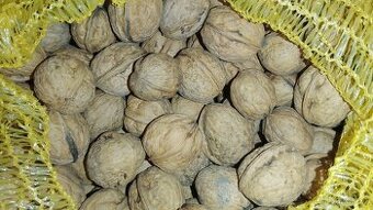 Vlašské ořechy celé