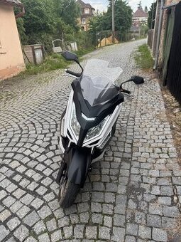 Maxon Optimus 125ccm