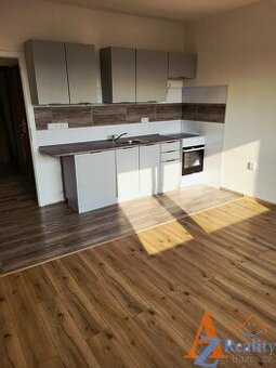 Nabízíme pronájem prostorné bytové jednotky 1+1, OV, V Sídli