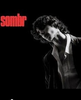 Prodam 1-4 vstuoenky na stání SOMBR