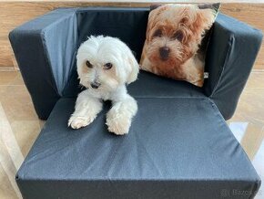 Psí pelíšek- rozkládací pohovka