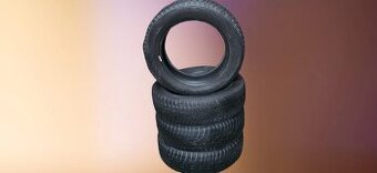 175/65/15 84T Nokian - zimní pneumatiky - poslání