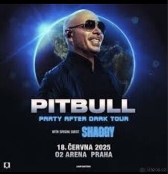 Obrázek k inzerátu: Pitbull