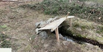 Prodej lesa u Dřešína