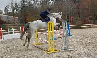 9 letá klisna do sportu i pro dítě