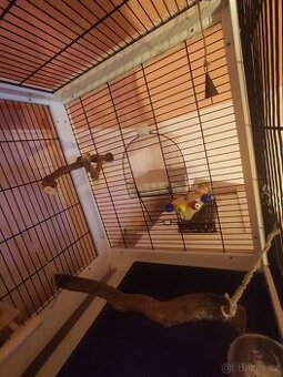 Zánovní klec 100x50x60 cm