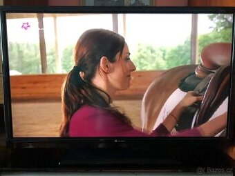 Televize gogen 32” 80cm