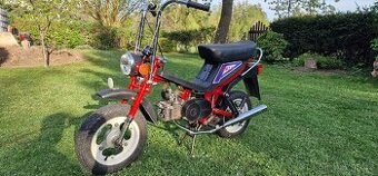 Babetta Stella 134