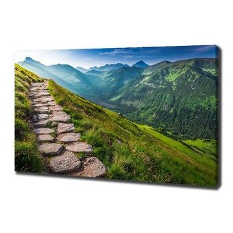 Foto obraz na plátně Stezka v Tatrách 100x70 cm