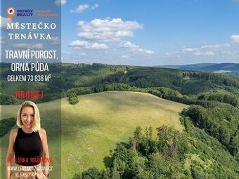 Prodej souboru zemědělských pozemků, 73 836 m², Městečko Trn