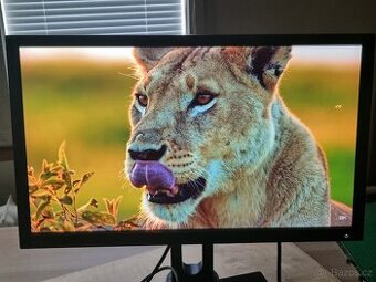 Monitor BenQ BL2420PT - plně funkční