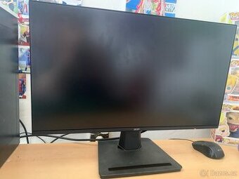 Monitor MSI
