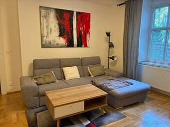 Pronájem bytu 2+1, Žižkov, se zahrádkou
